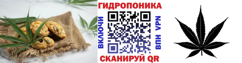 Canna-Cookies конопля  Пионерский 