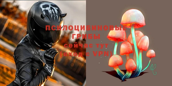 прущий лед Белокуриха