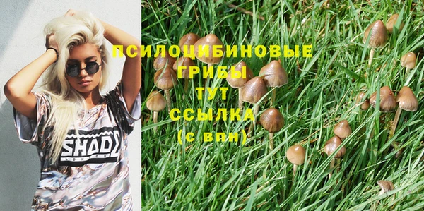 прущий лед Белокуриха