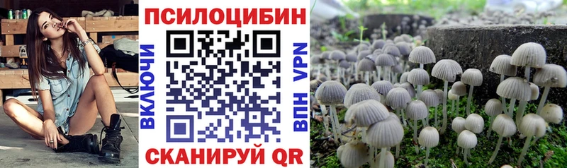 Галлюциногенные грибы Psilocybine cubensis  Пионерский 