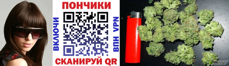 Конопля индика МЕГА ссылка Пионерский как найти закладки